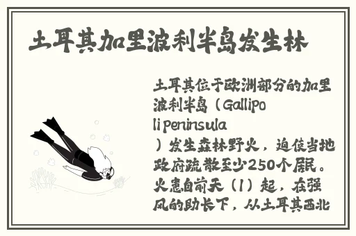 馃憴mofos馃憴賮賶賱賶賲.